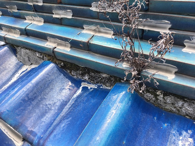 雑草が生えた屋根